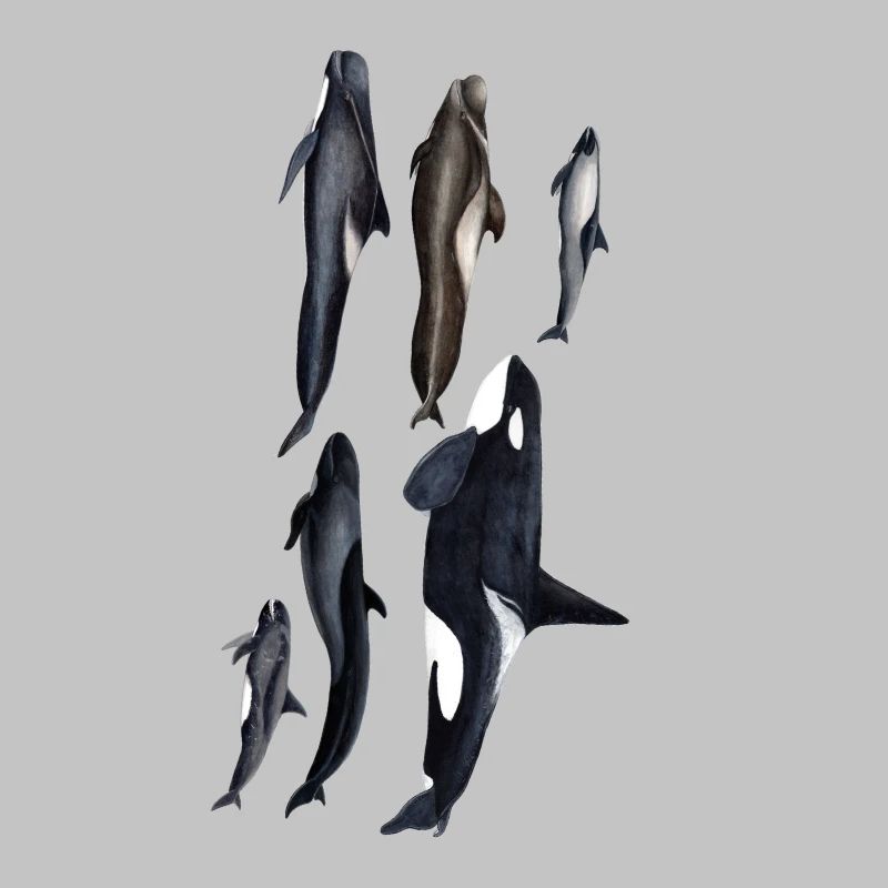 Blackfish - Orcas - Calderones - Pilot whales