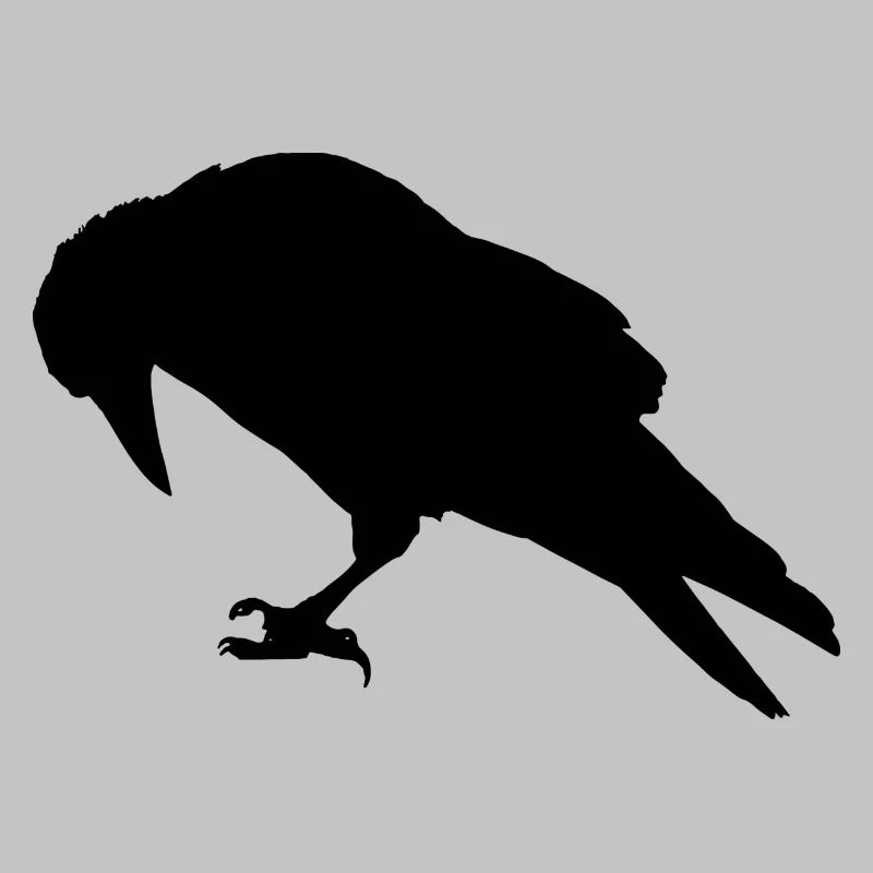 Expandables Corbeau / Corbeau / Raabe assis