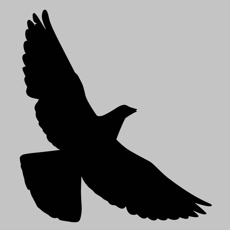 pigeon