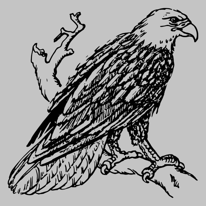 eagle190