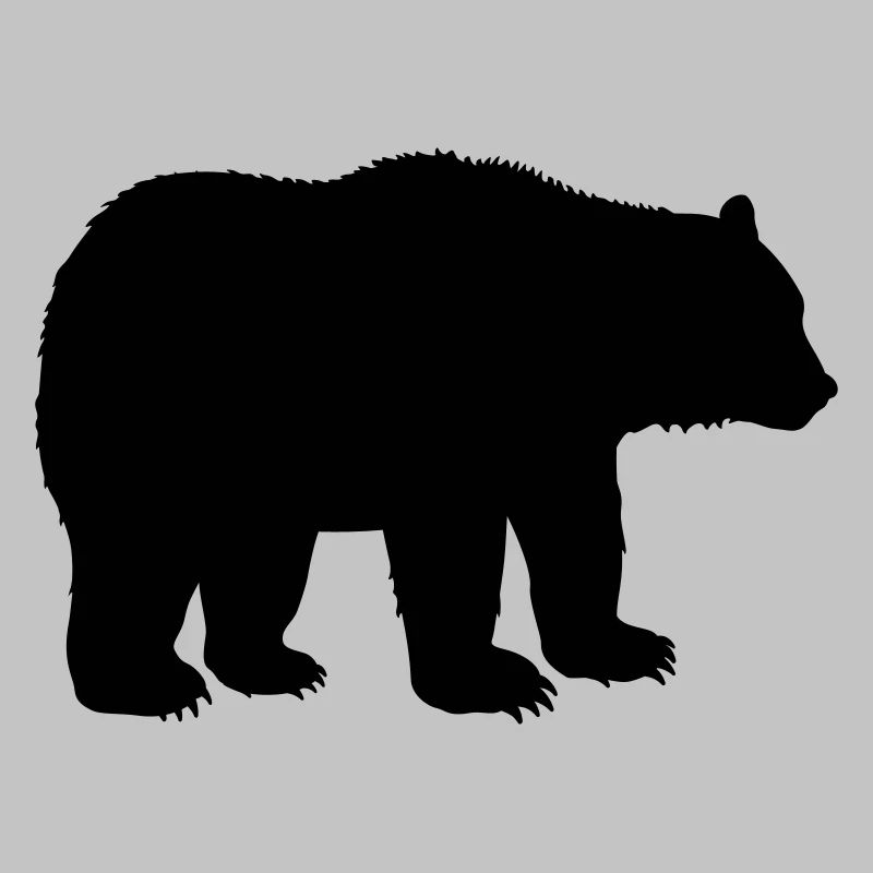 bear animal