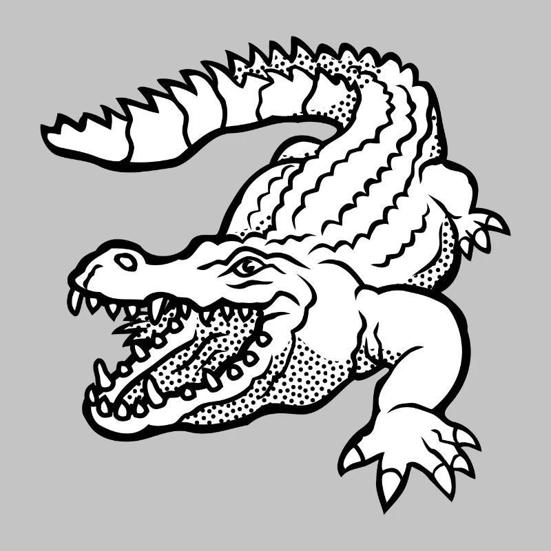 Kroko 79