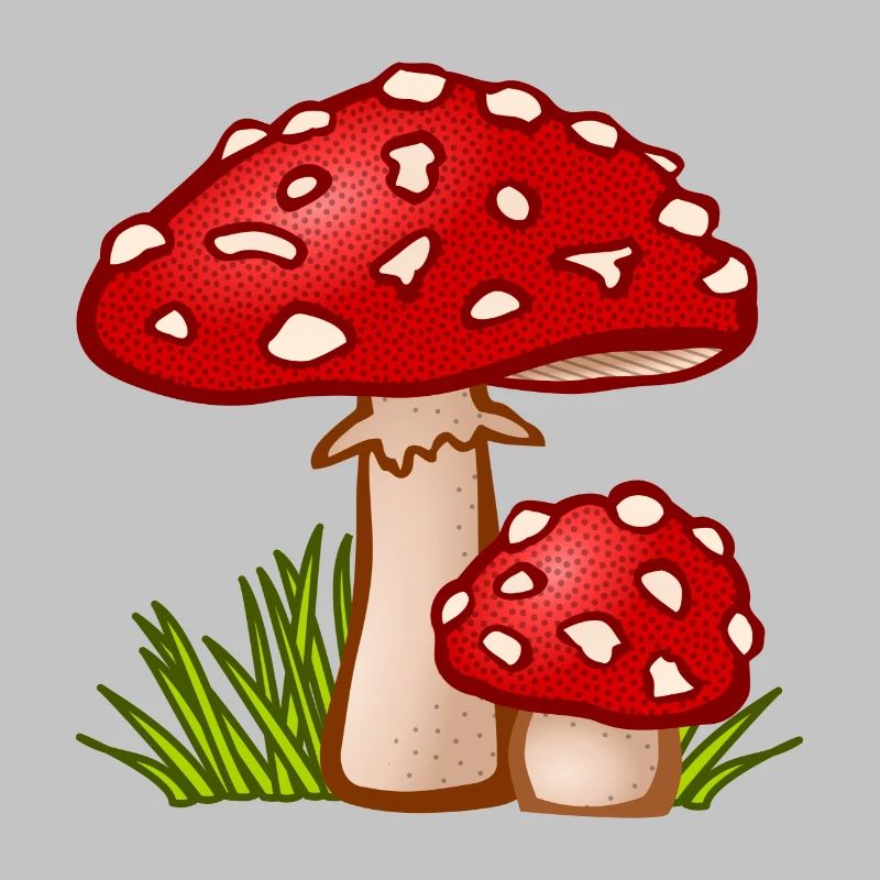 champignons champignons vegetables112 veggie veggie champignons