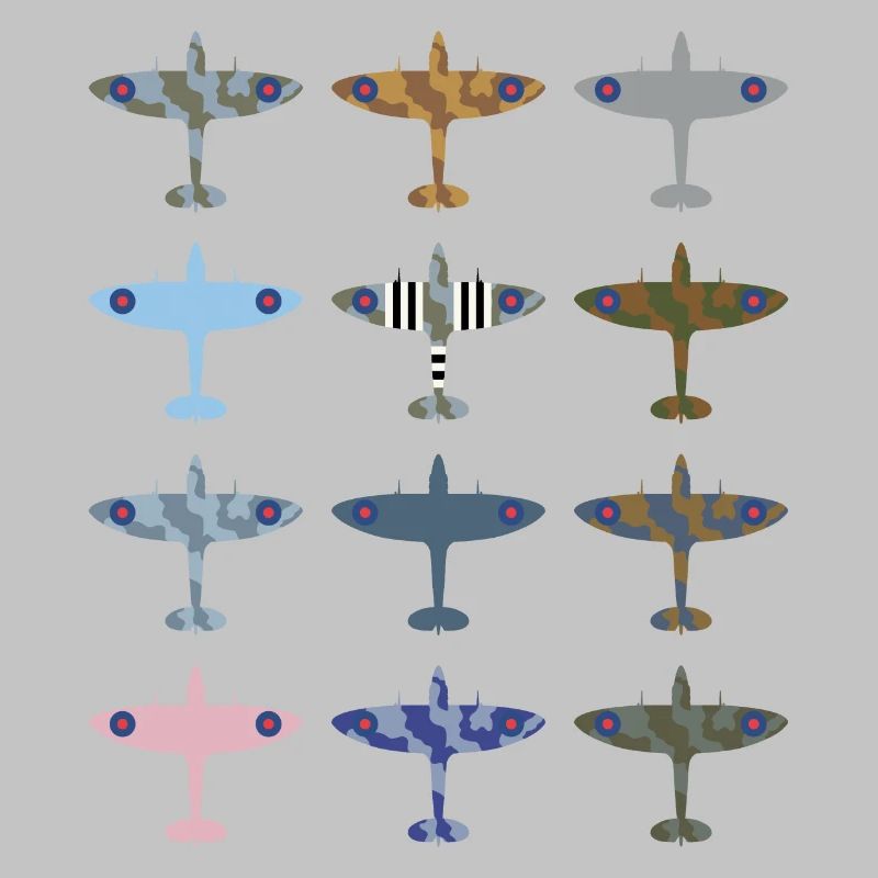 Avion de chasse de Spitfire / modèle de camouflage