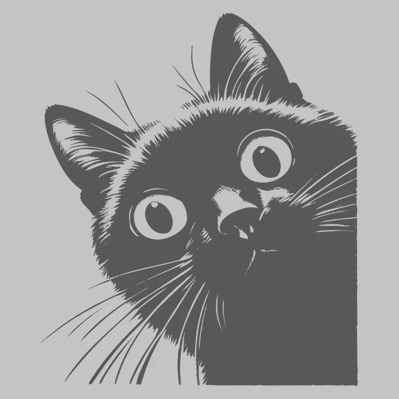 Black cat