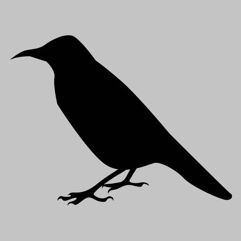 corbeau crow