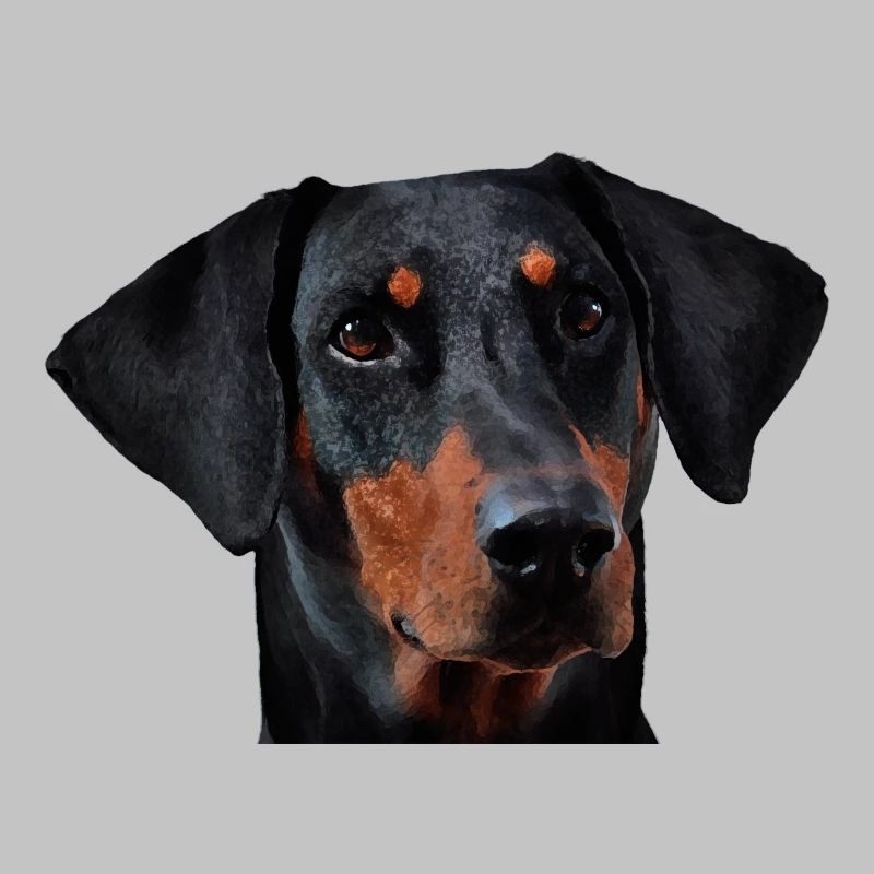 Doberman pinscher