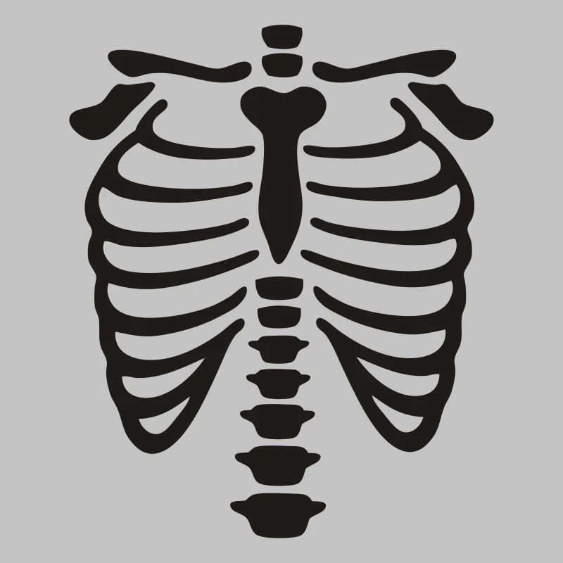 xray_vector