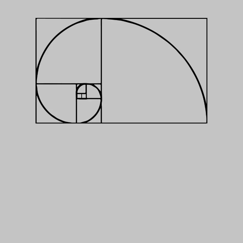 Fibonacci Tshirt