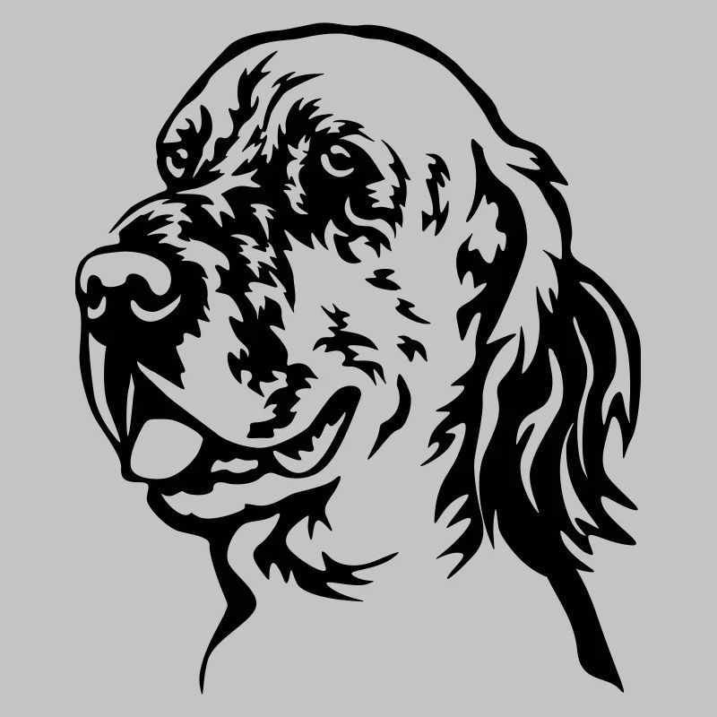 Englischer Setter Kopf