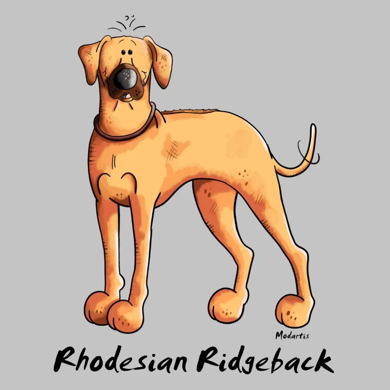 Cute Rhodesian Ridgeback