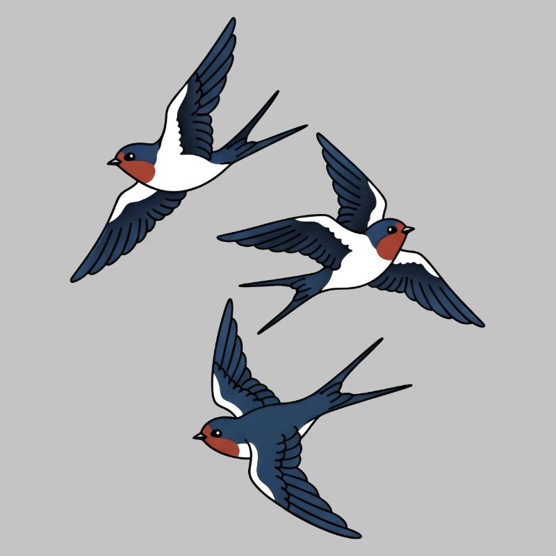 swallows