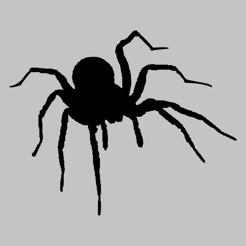The Spider