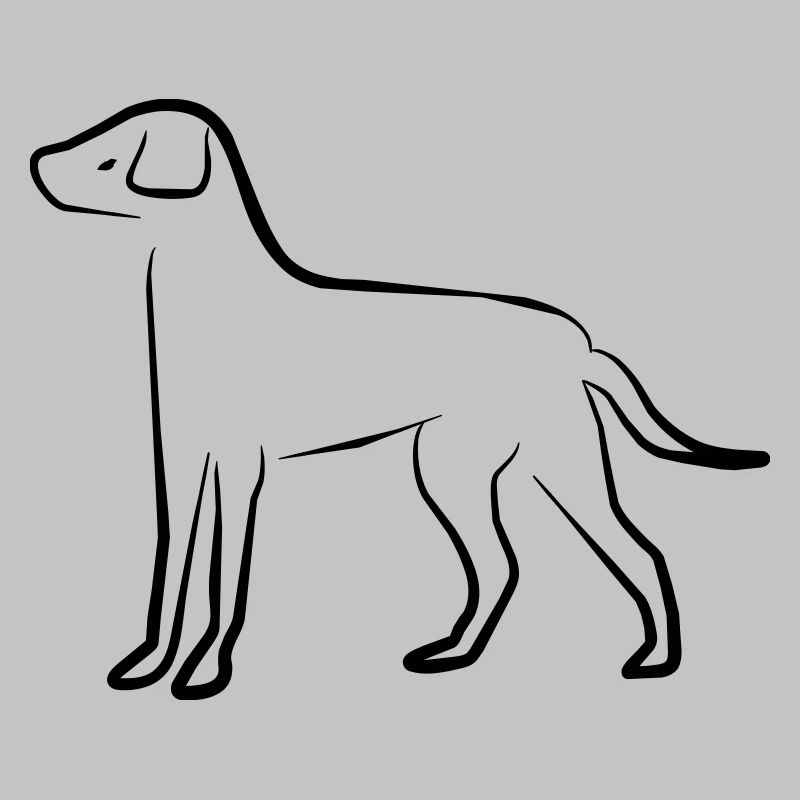 Chien
