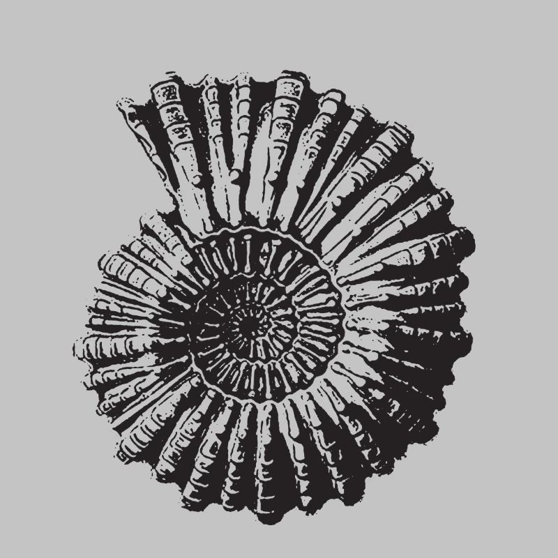 Escargot de pierre rétro