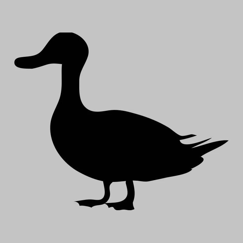 Canard