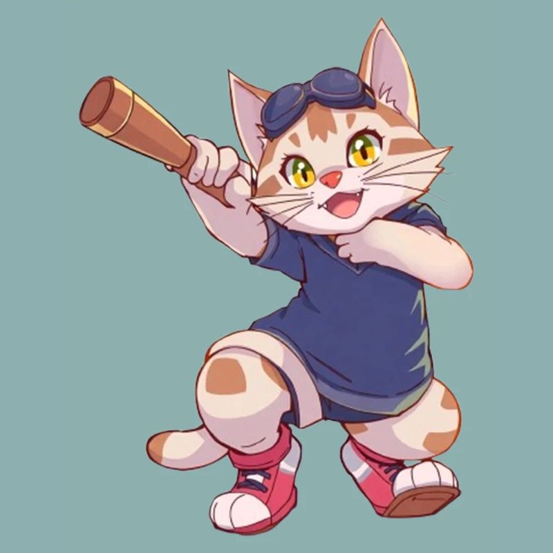 Chat, Chats
