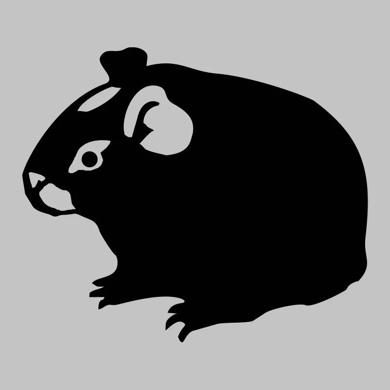 Meerschweinchen (2) einfarbig