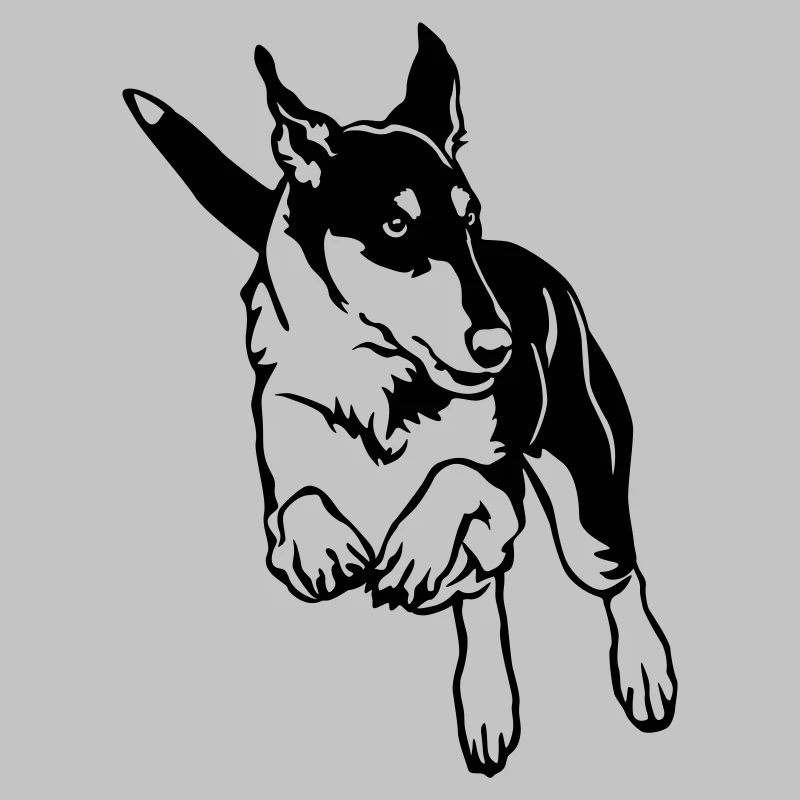 Collie