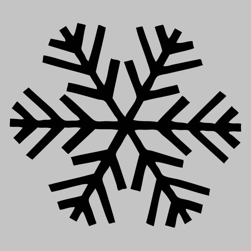 snow snowflake