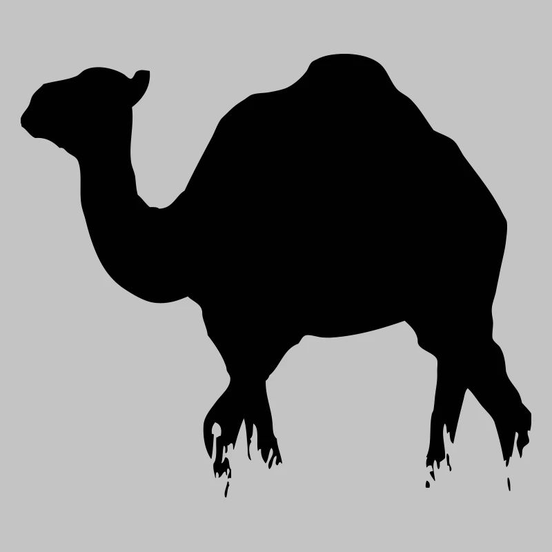 Dromedar - Camel