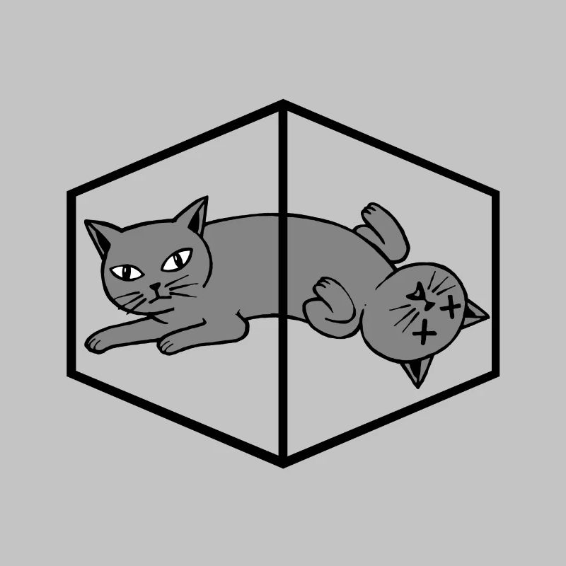 Le chat de Schrödinger