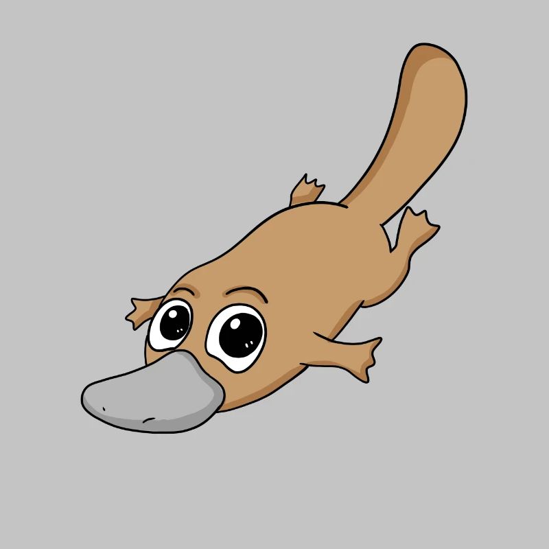 ornithorynque