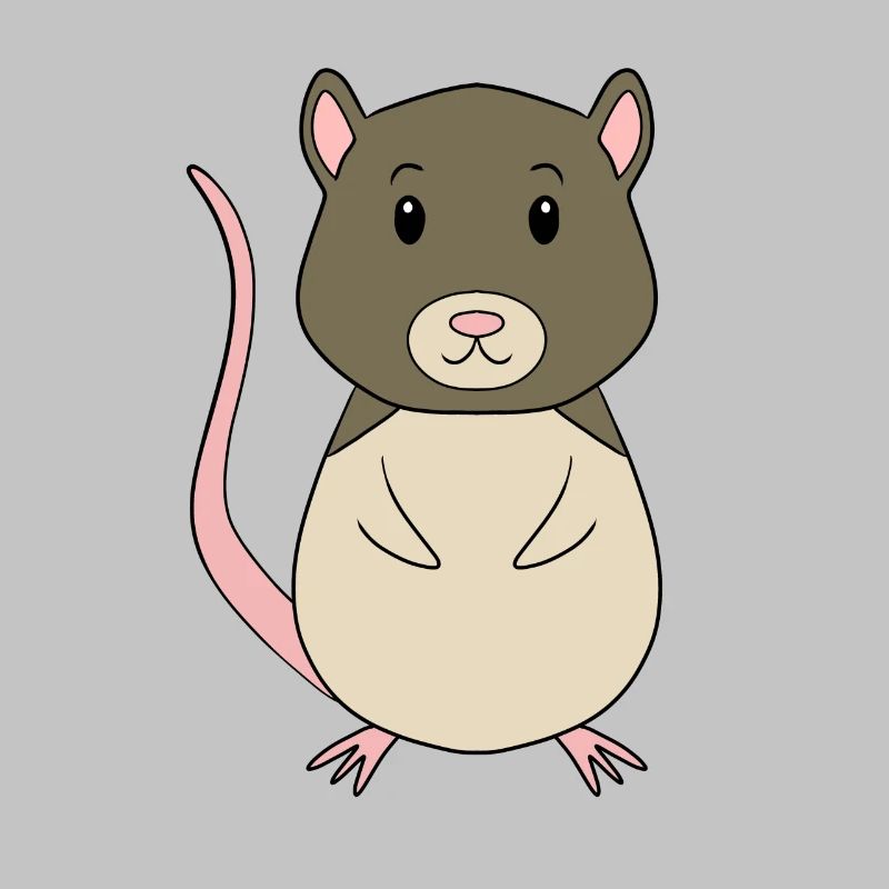 Vole Mouse
