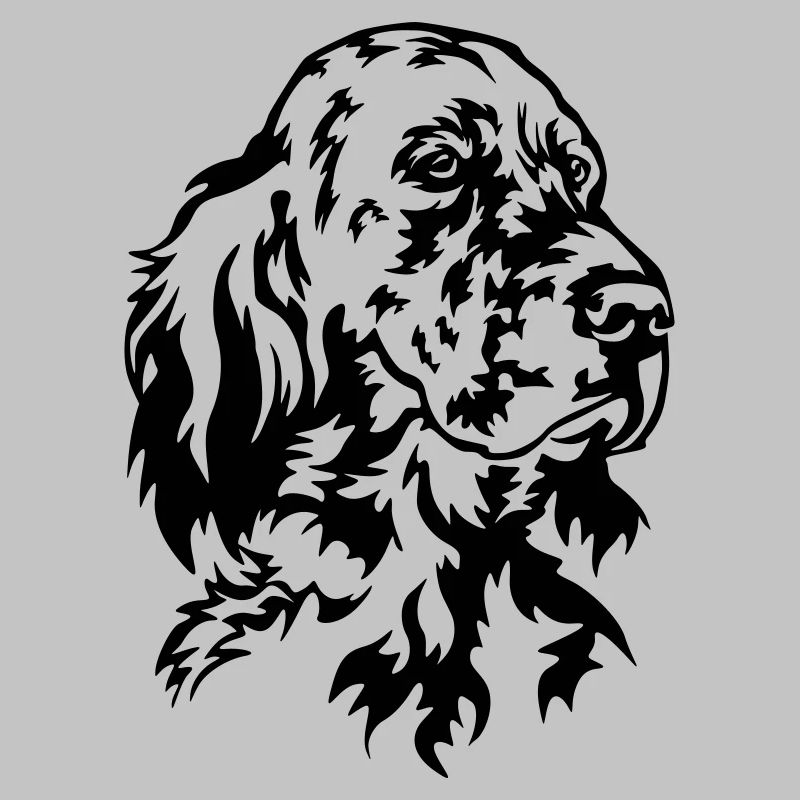Englischer Setter Kopf