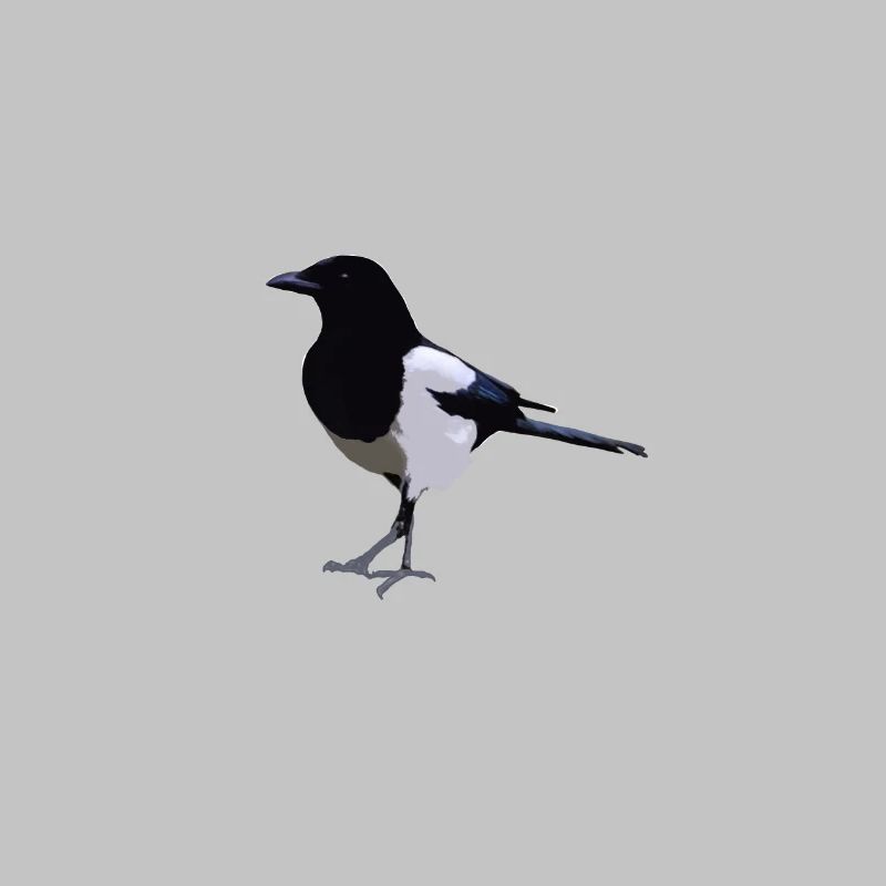 Elster