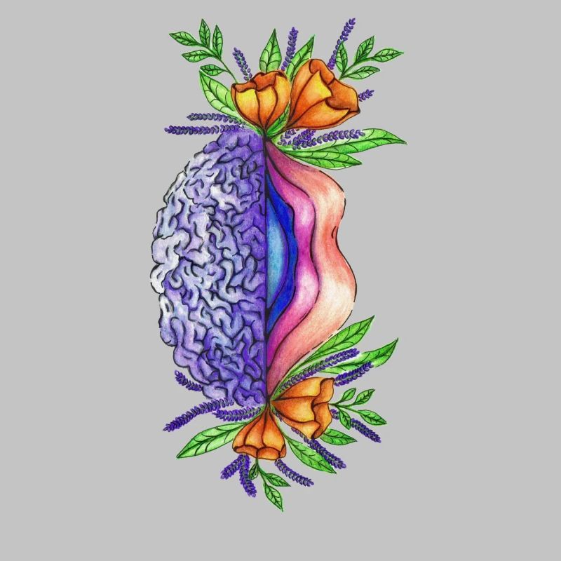 Vulva Brain