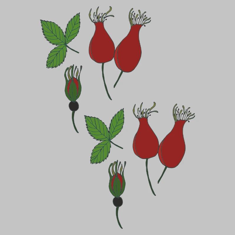 Rosehip Style