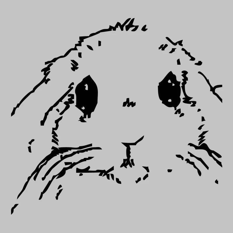 Lapin
