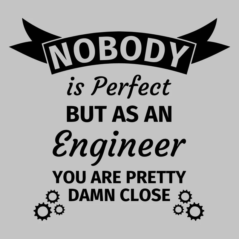 Nobody is Perfect but as an Engineer