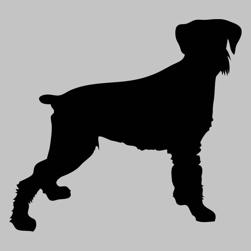 dog dog