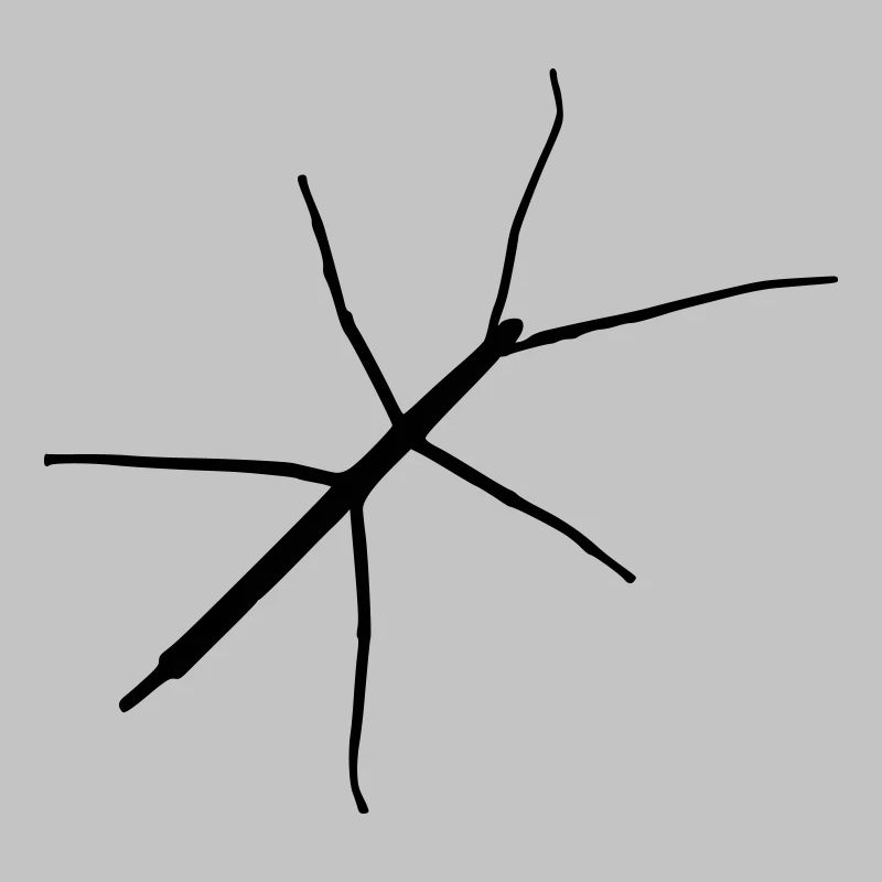 Stabheuschrecke