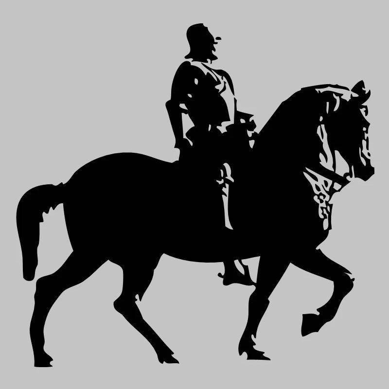 cheval et le cavalier