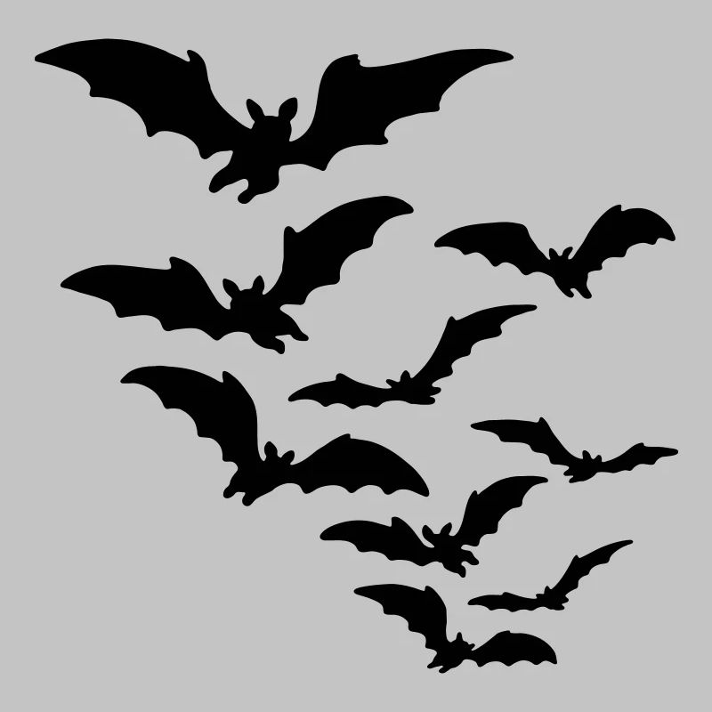 fledermaus