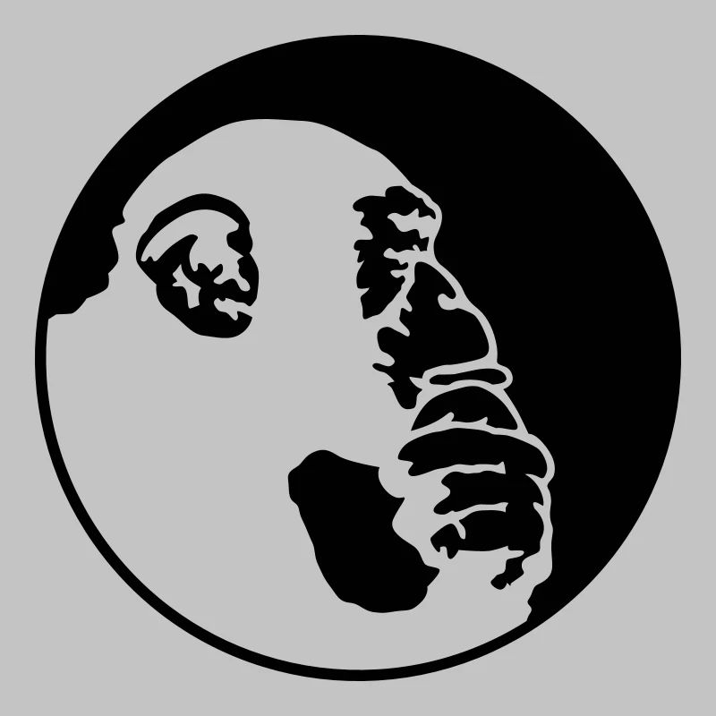 chimpanzee