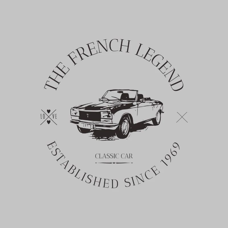 304 COUPE FRENCH CAR
