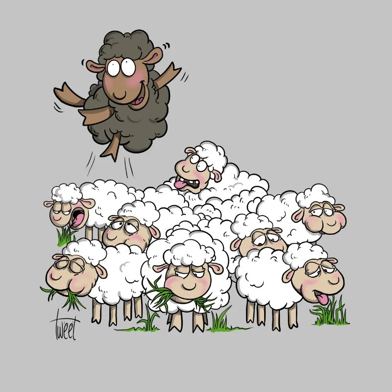 Mouton noir