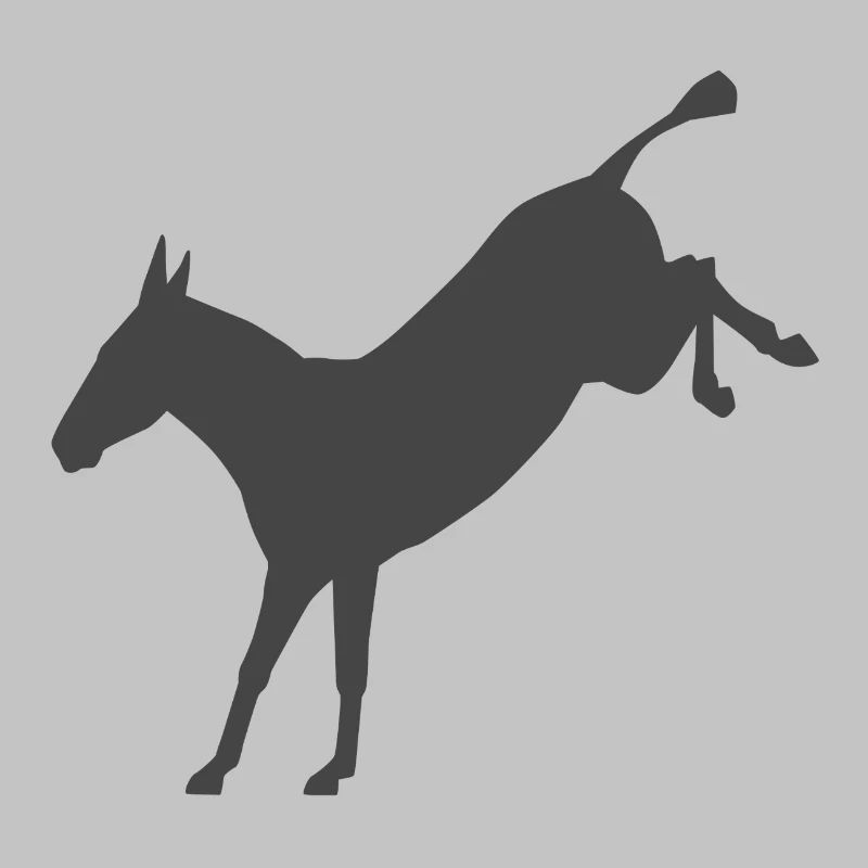Rebellious Donkey