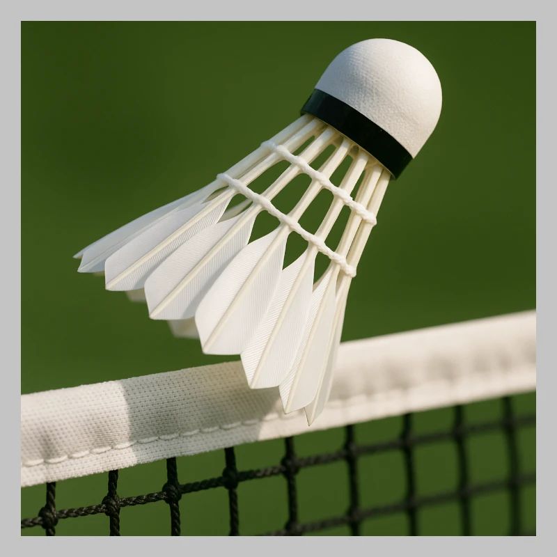 Badminton - balle au-dessus du filet