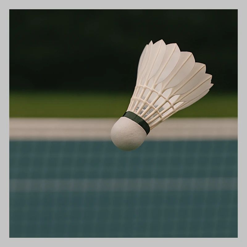 Sport - Badminton