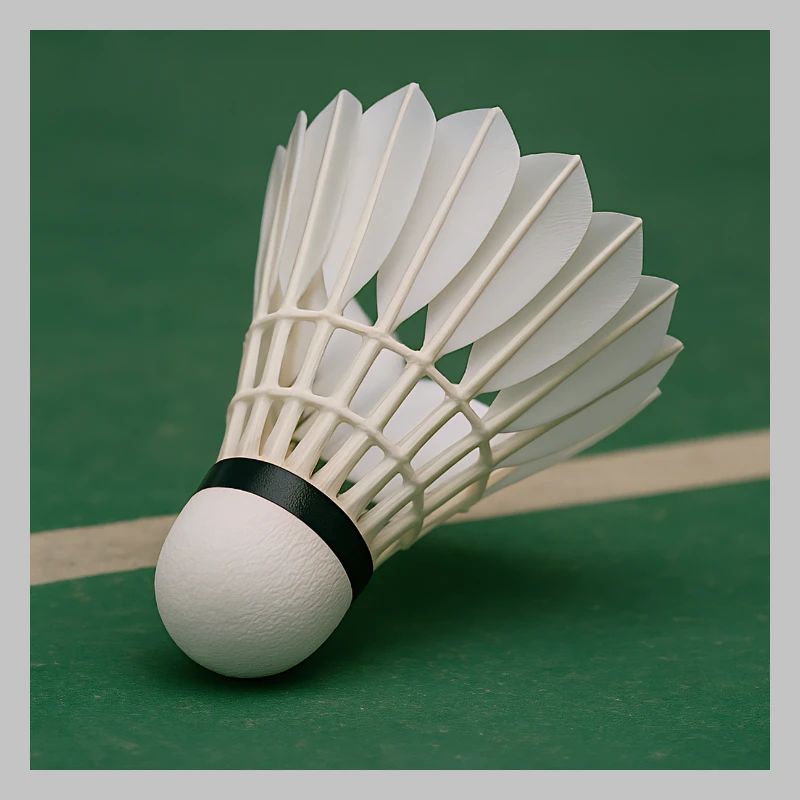Sport - Badminton