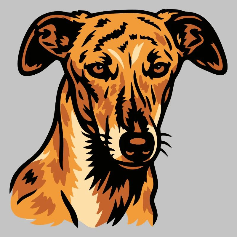 Galgo Español – Spanish Grace