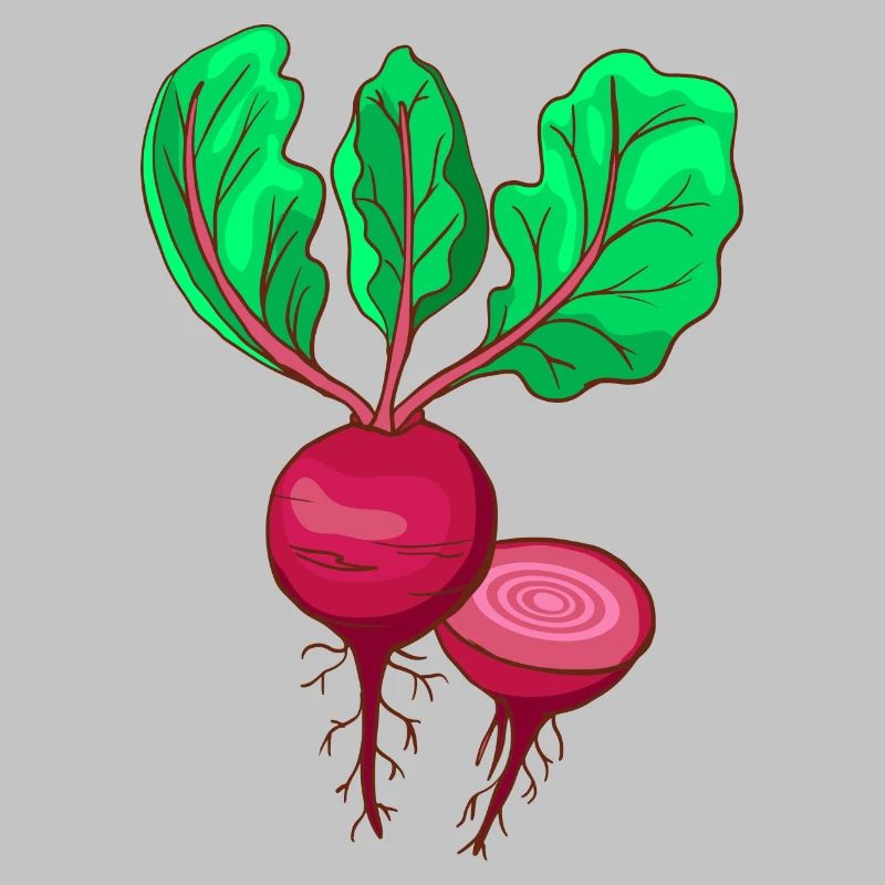 Beetroot Beet Bete