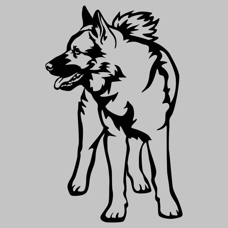 Norwegischer Elchhund