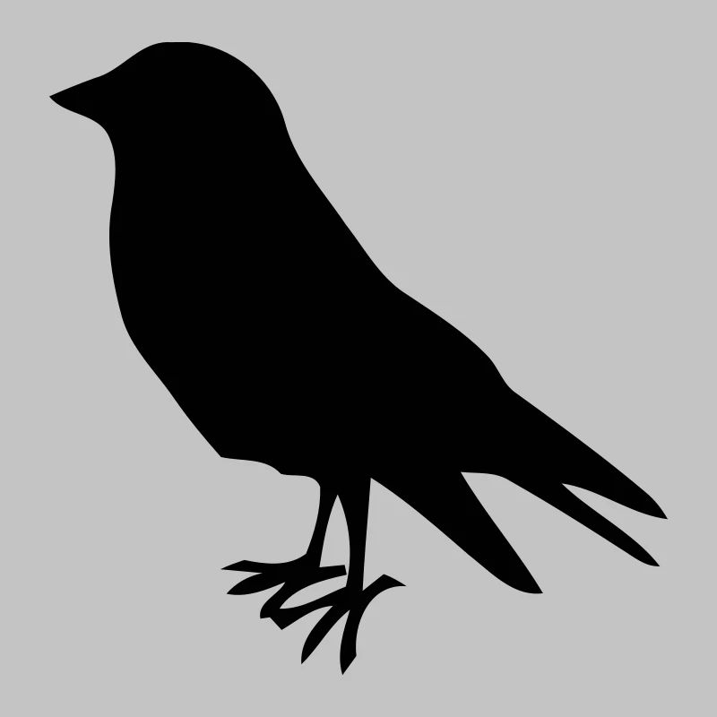 früher vogel bird vögel