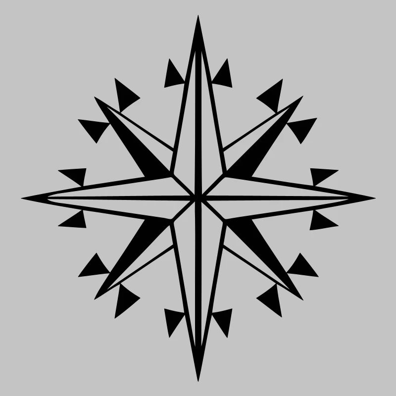 navigation, compass, orientation wind rose